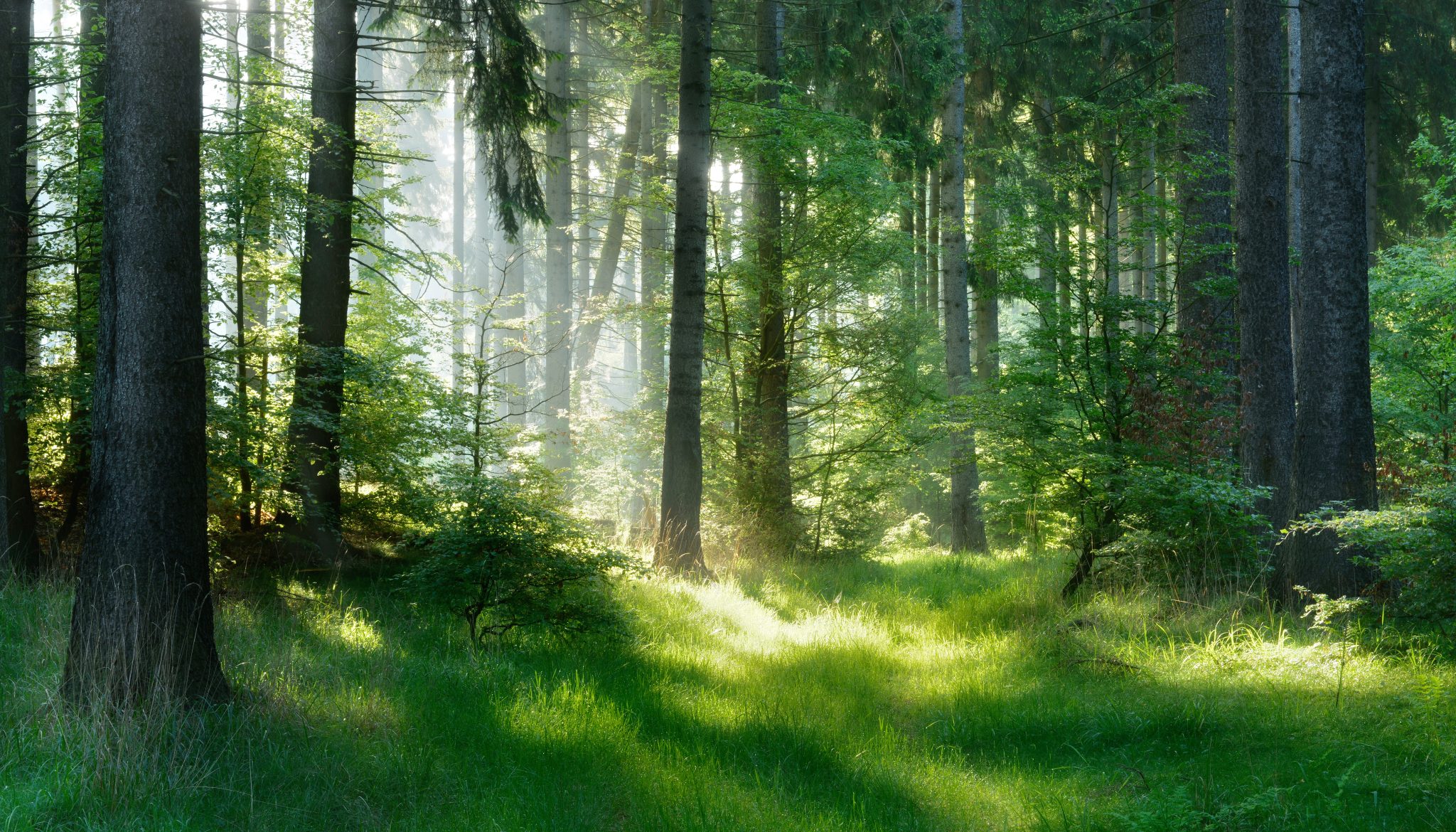 Nature Archives - Nature & Autonomie