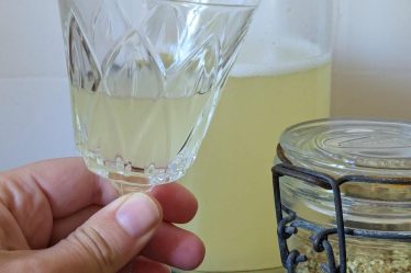 recette de sirop de sureau