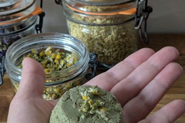 shampoing solide aux plantes