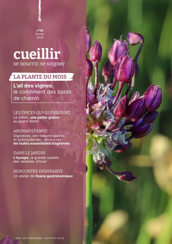 L&rsquo;ail des vignes