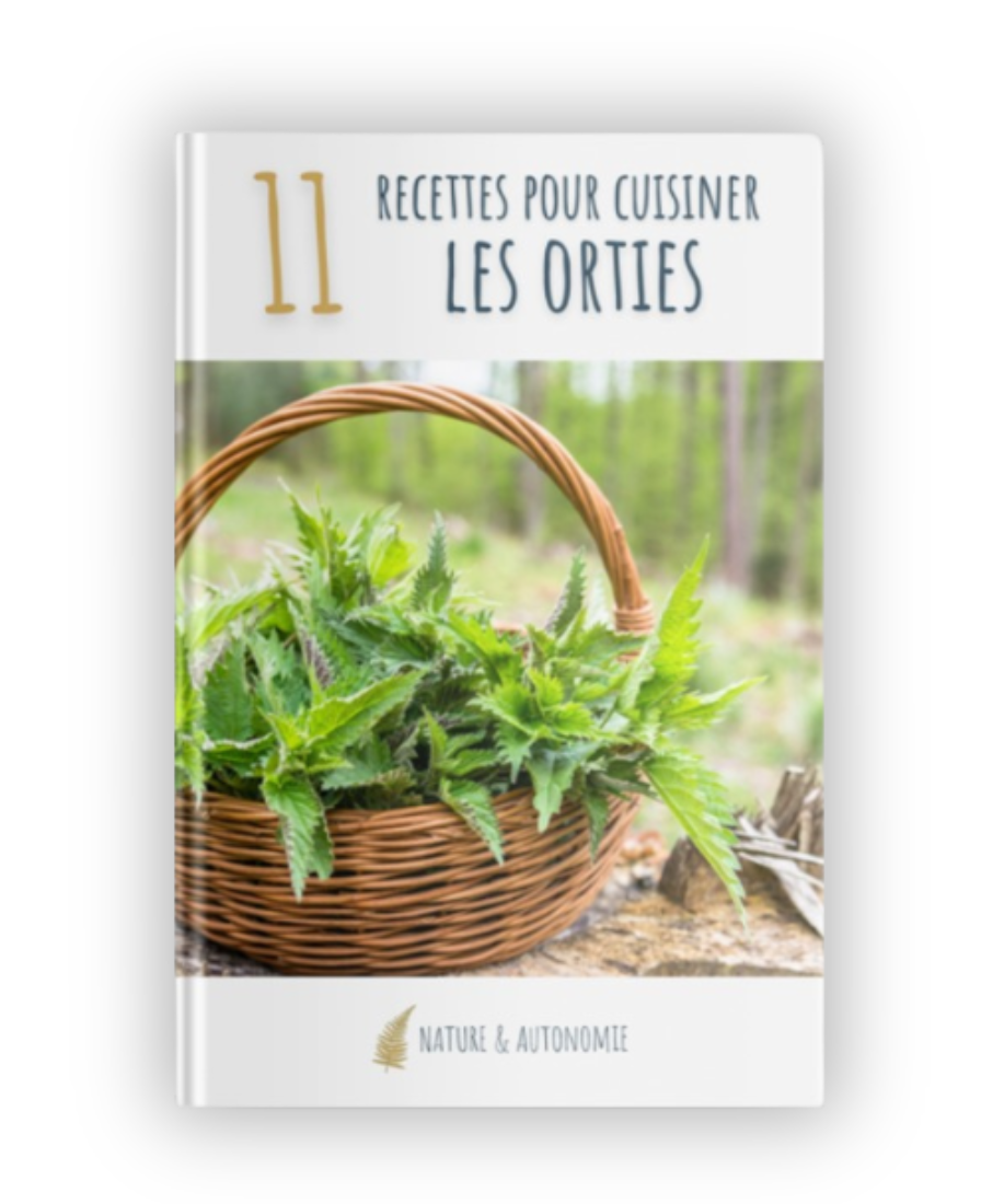 Guide Orties